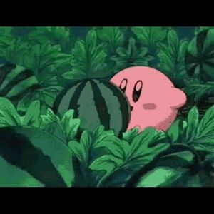 Meet your Posher, Martyna